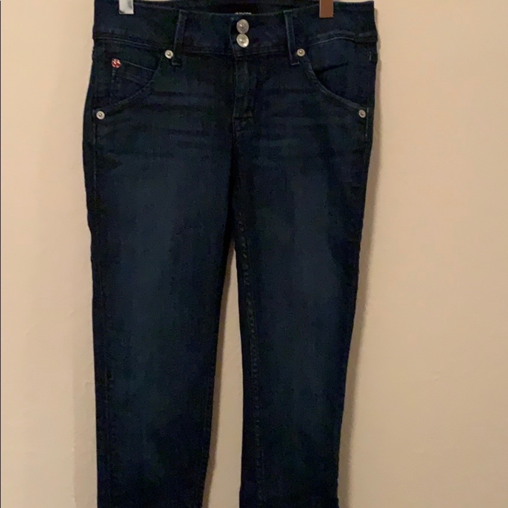 Hudson Collin Flap Skinny